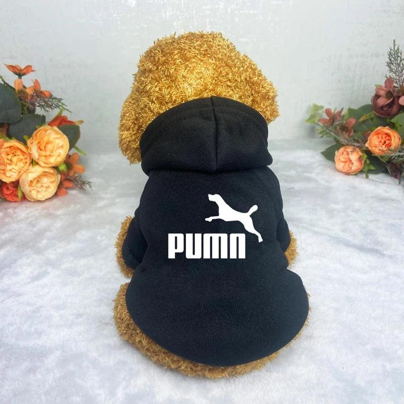 Puma Dog Hoddie Openly Gay Animals