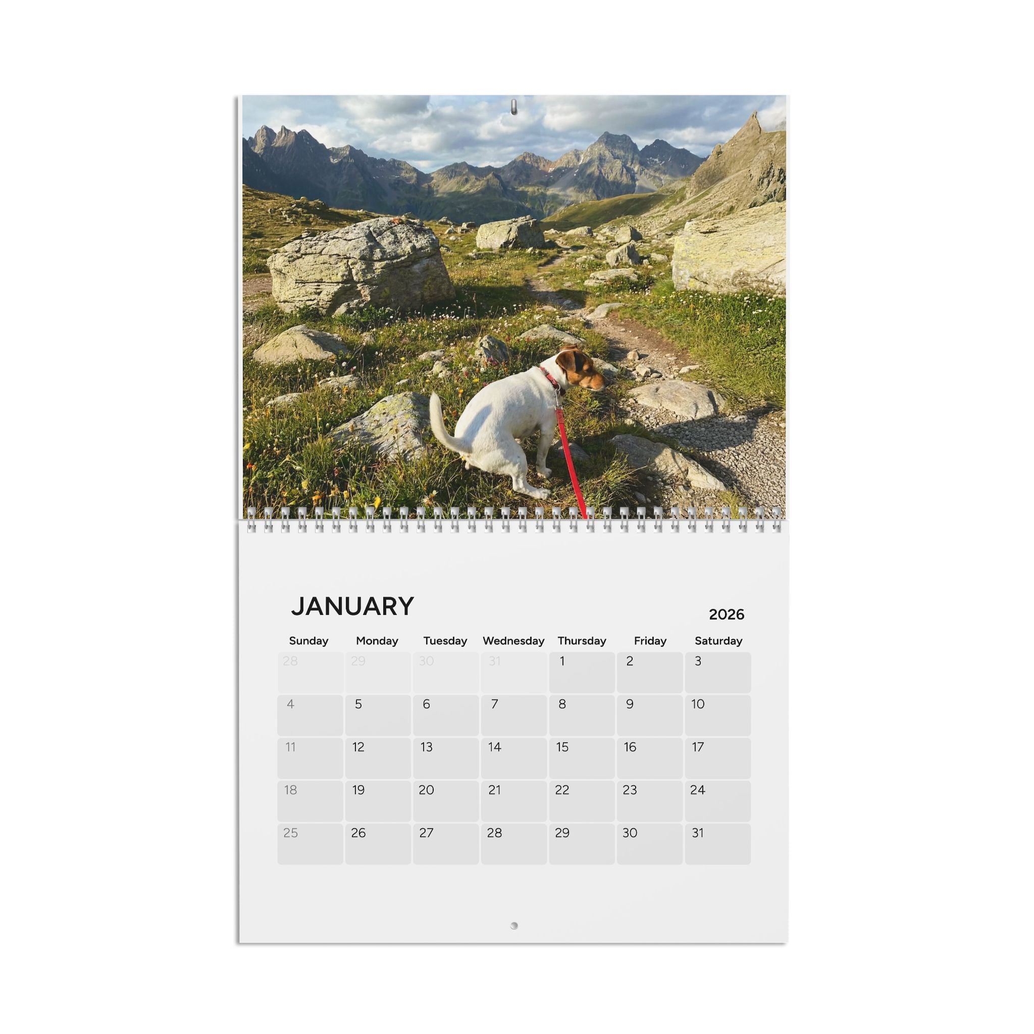 Pooping Dog Calendar 2026