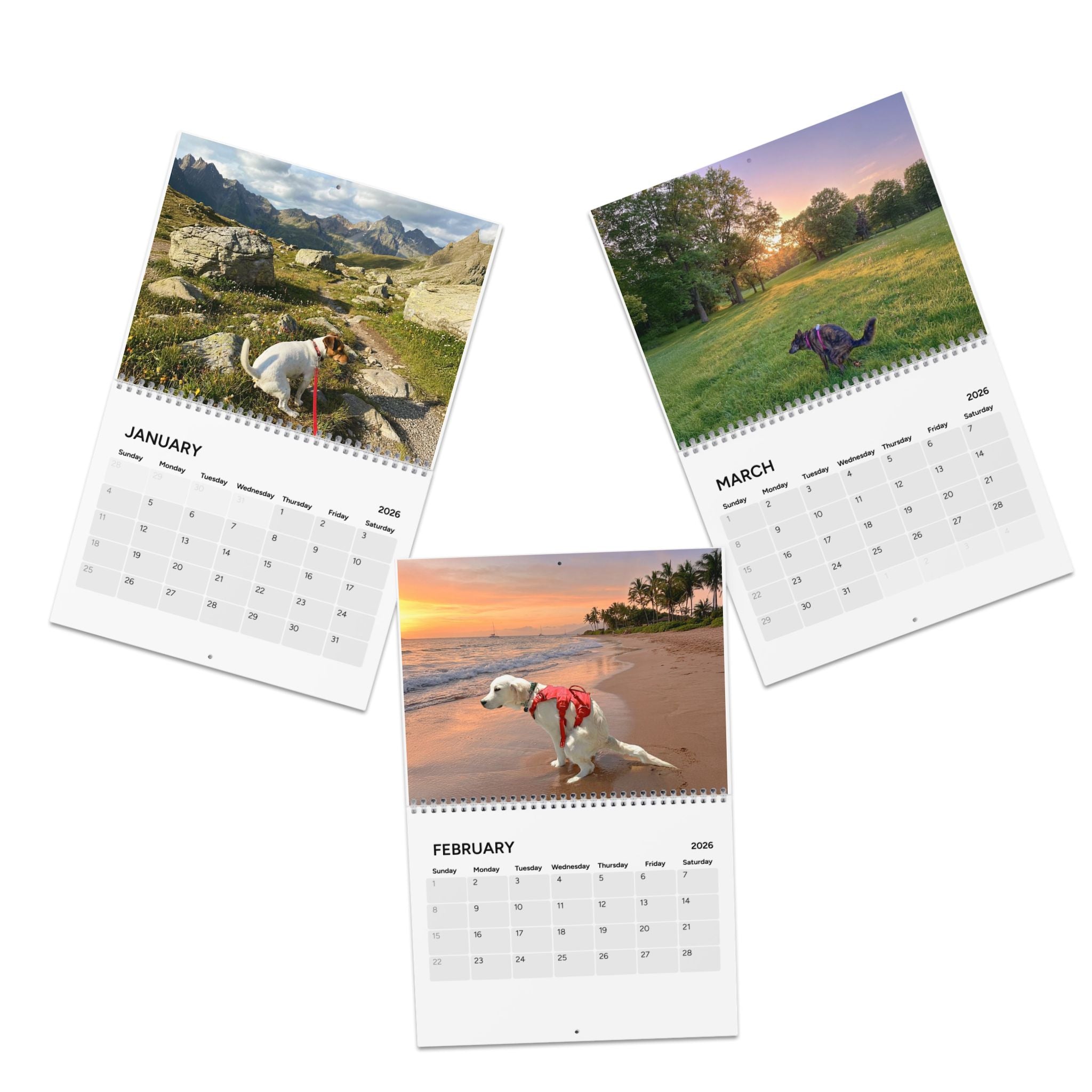 Pooping Dog Calendar 2026