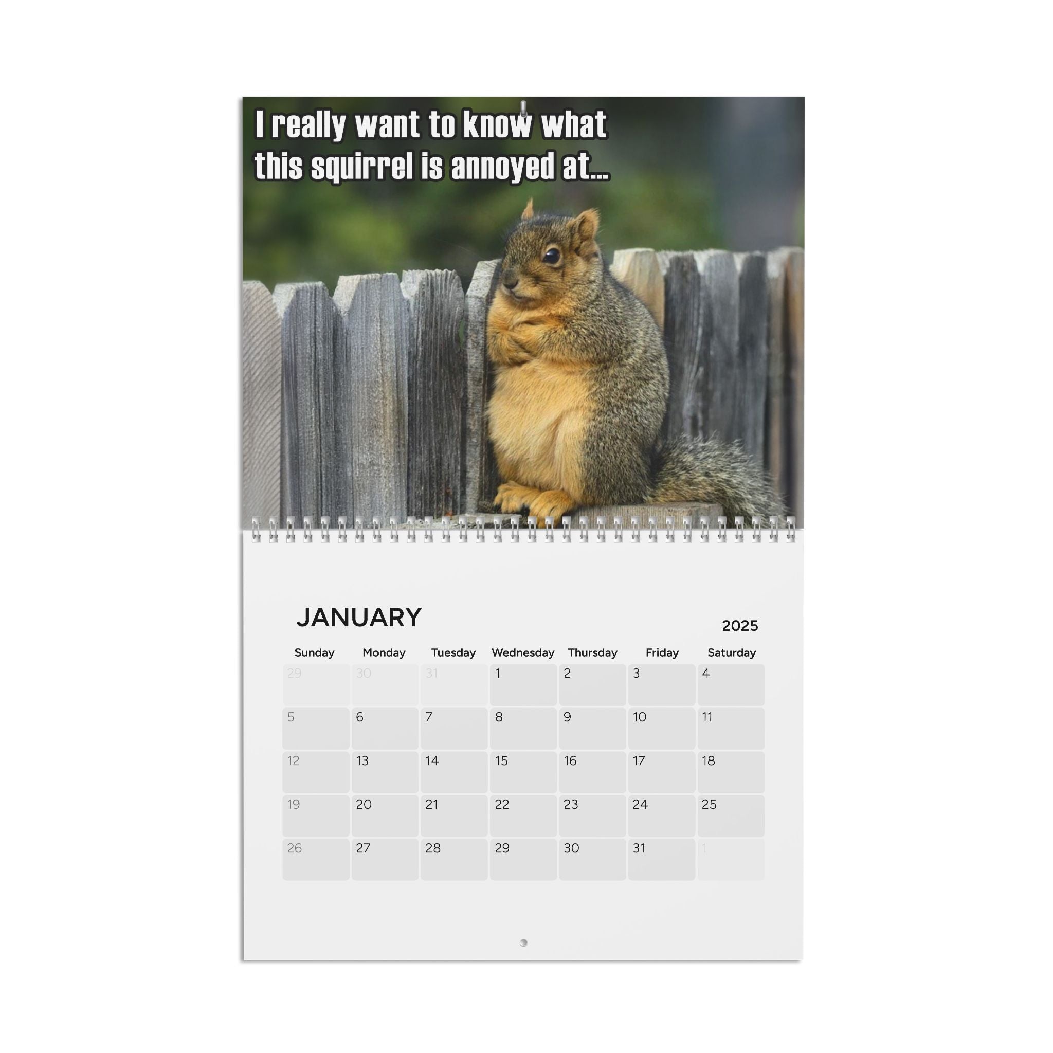 Best Meme Calendar (2025)