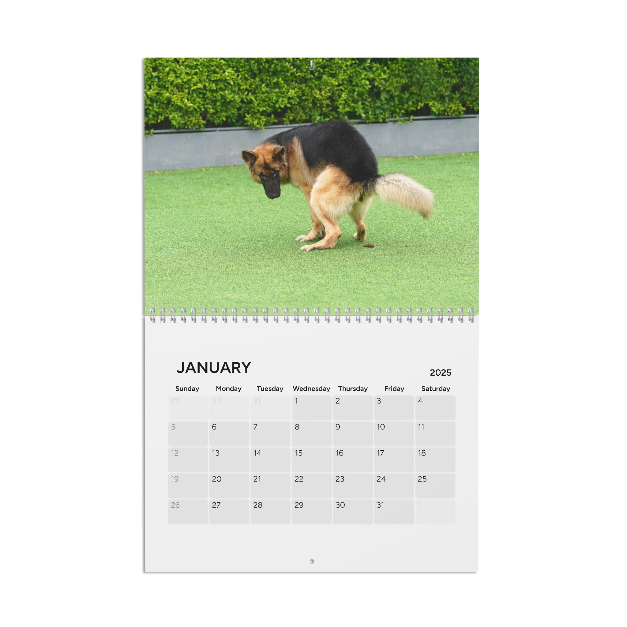 Pooping Dogs 2 Calendar (2025)