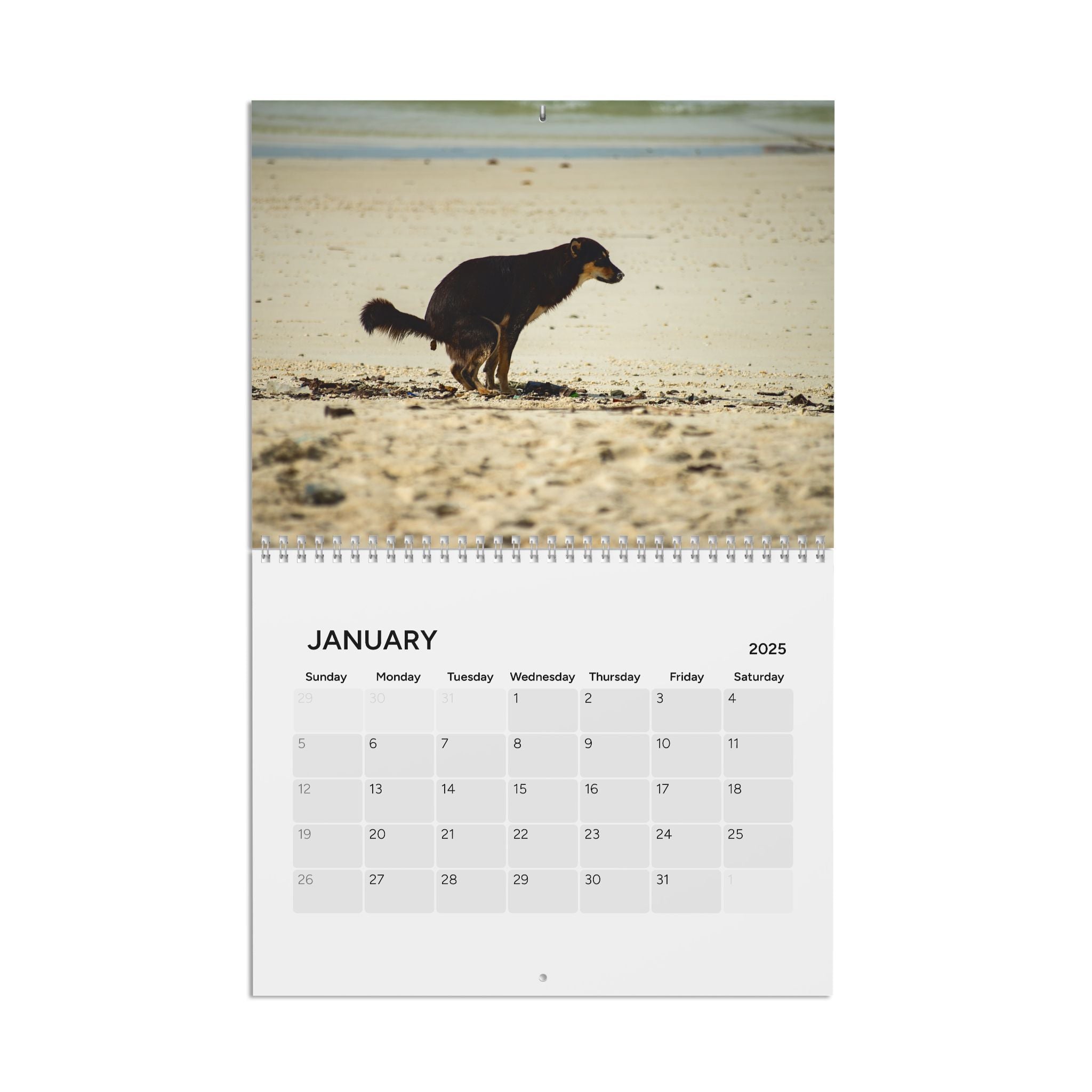 Pooping Dogs 3 Calendar (2025)