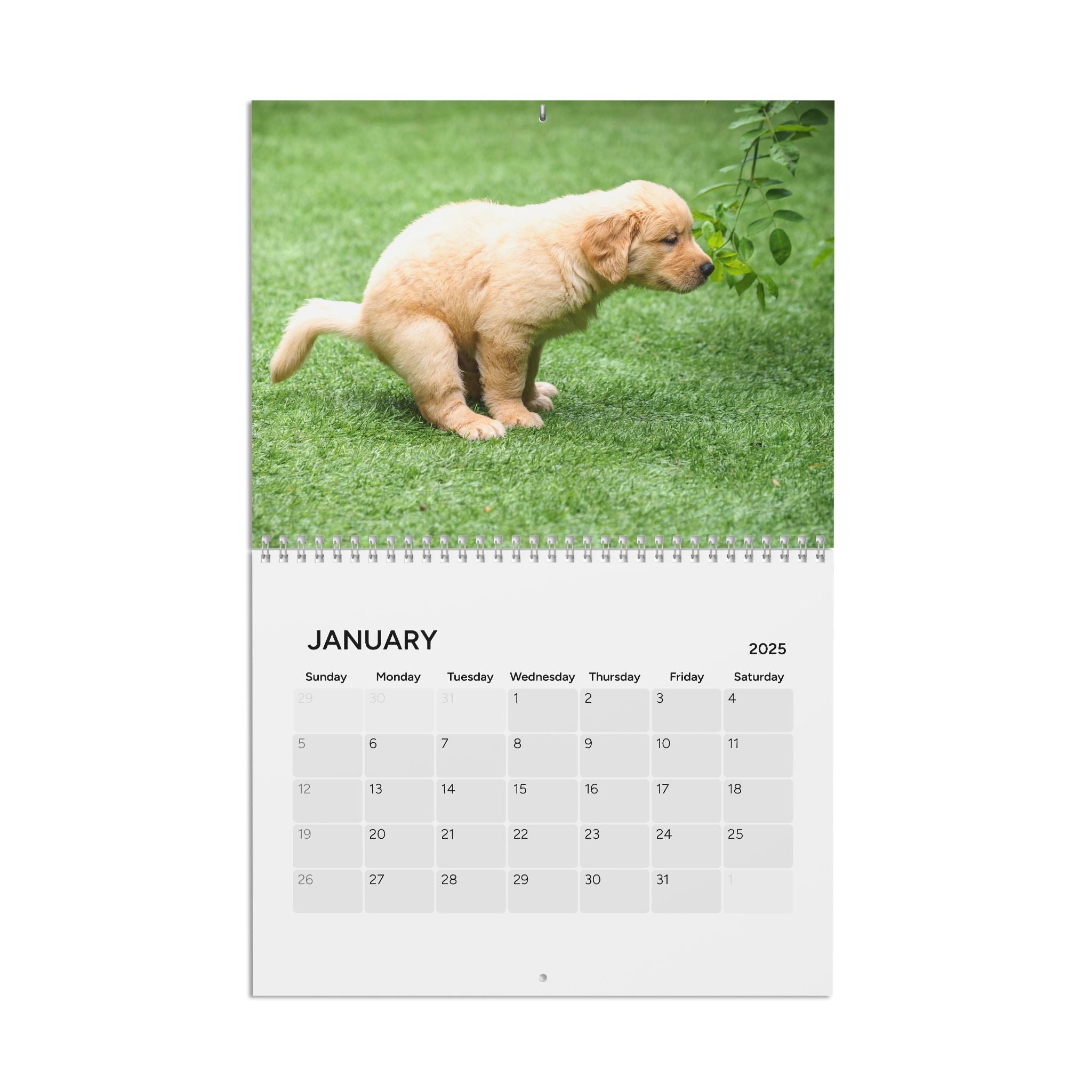 Pooping Dogs 4 Calendar (2025)