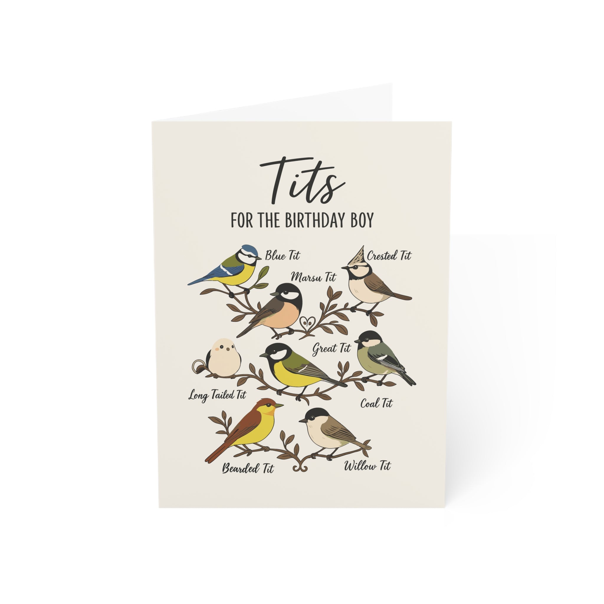 Tits for the Birthday Βοy Greeting Cards