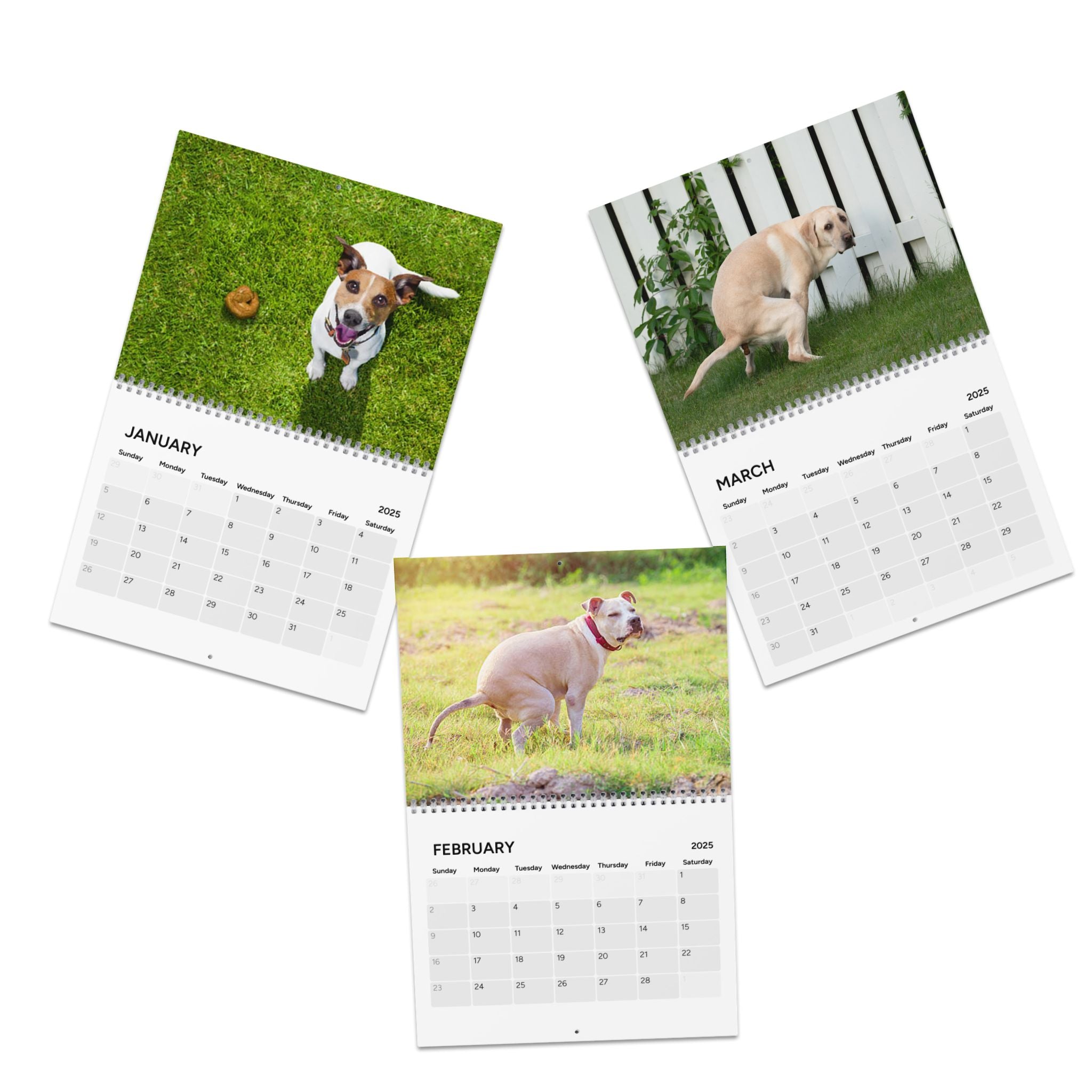 Pooping Dogs Calendar (2025)