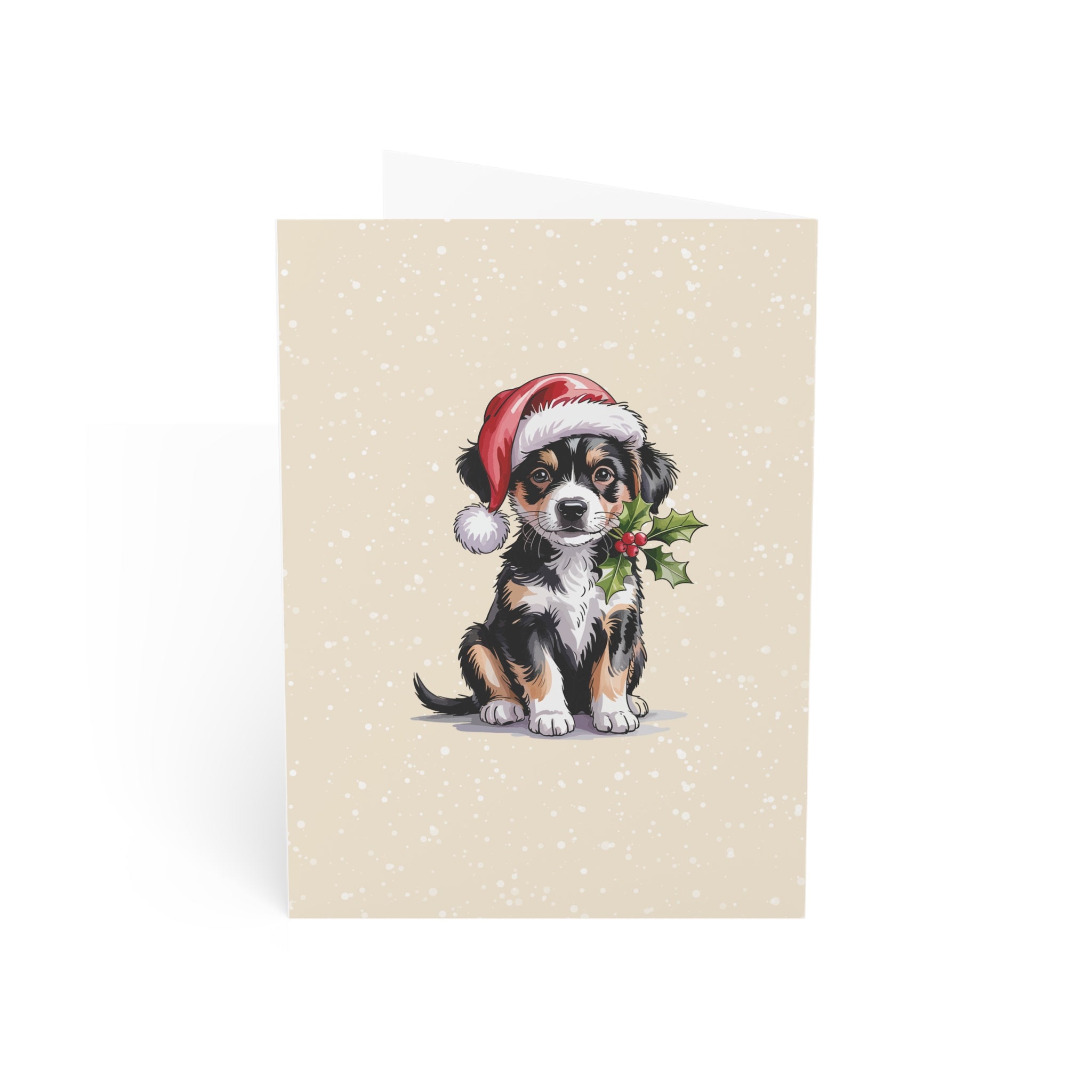 Merry Christmas 6 Greeting Cards