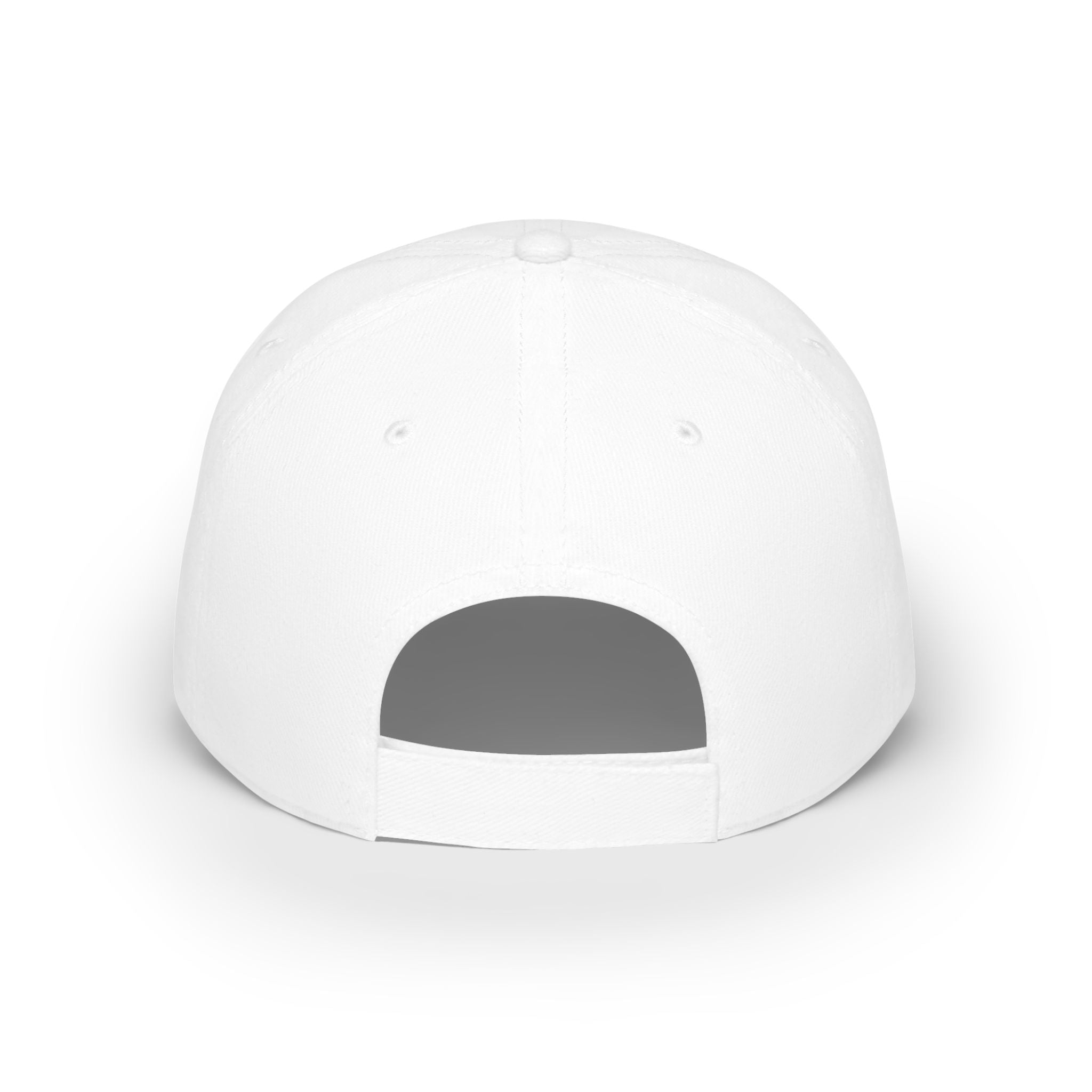 Party Dolphin Baseball Cap