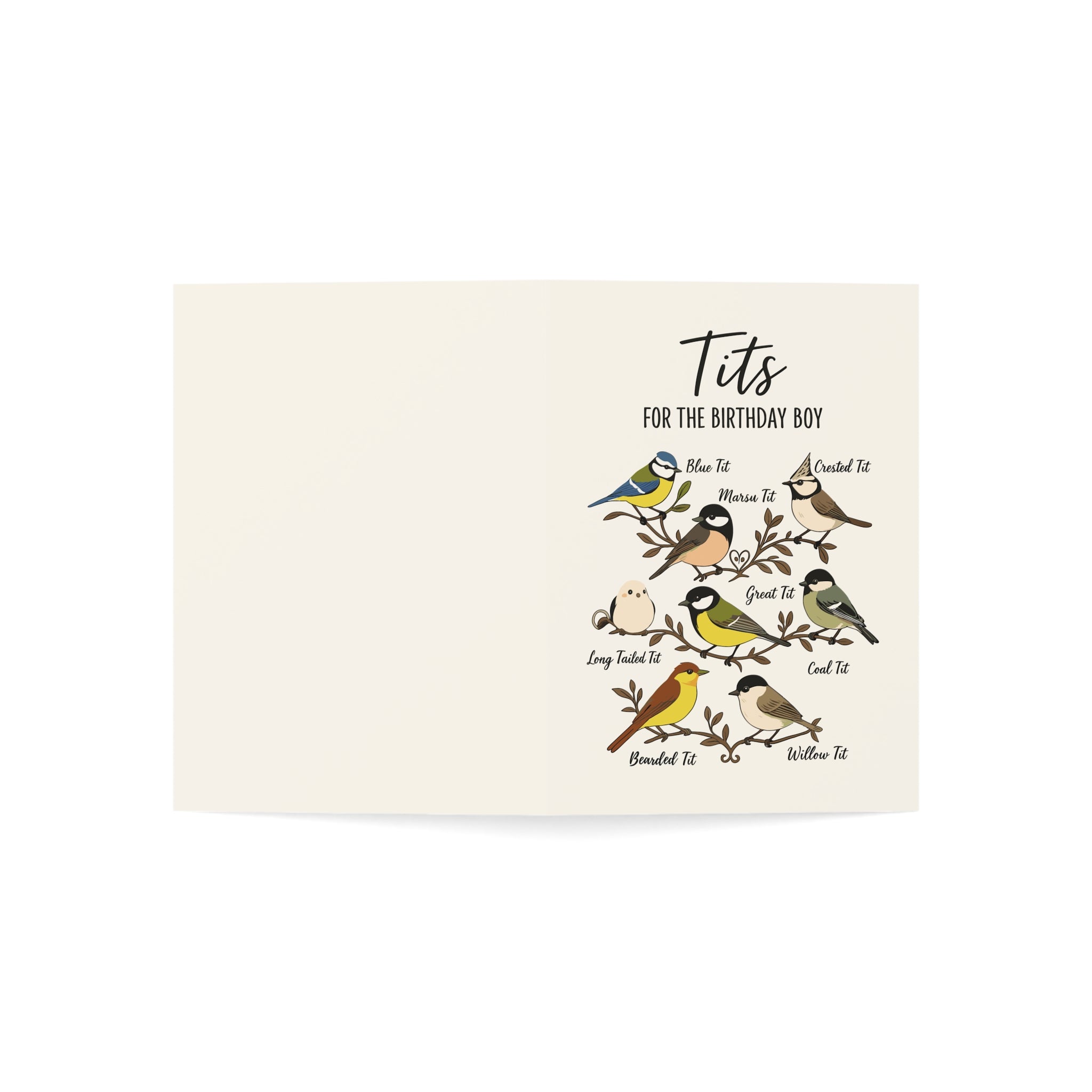 Tits for the Birthday Βοy Greeting Cards