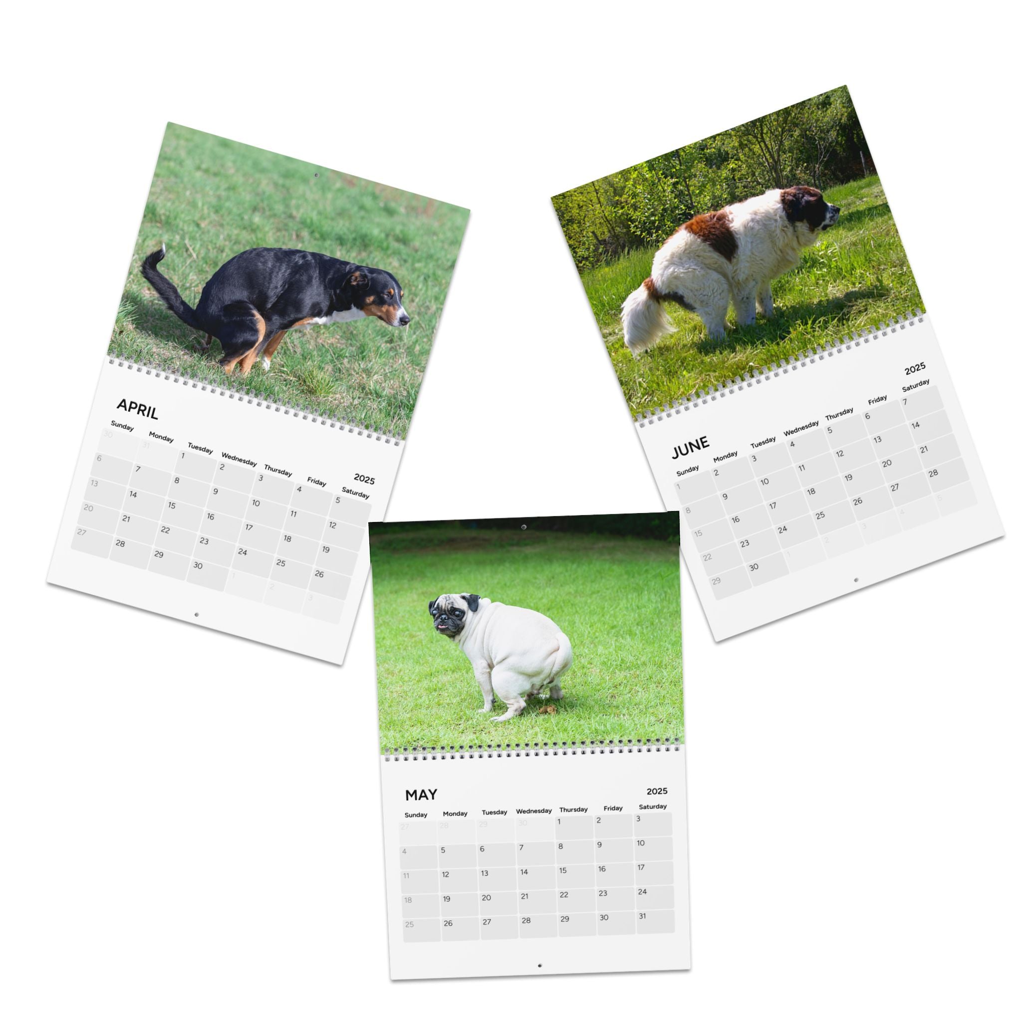 Pooping Dogs Calendar (2025)