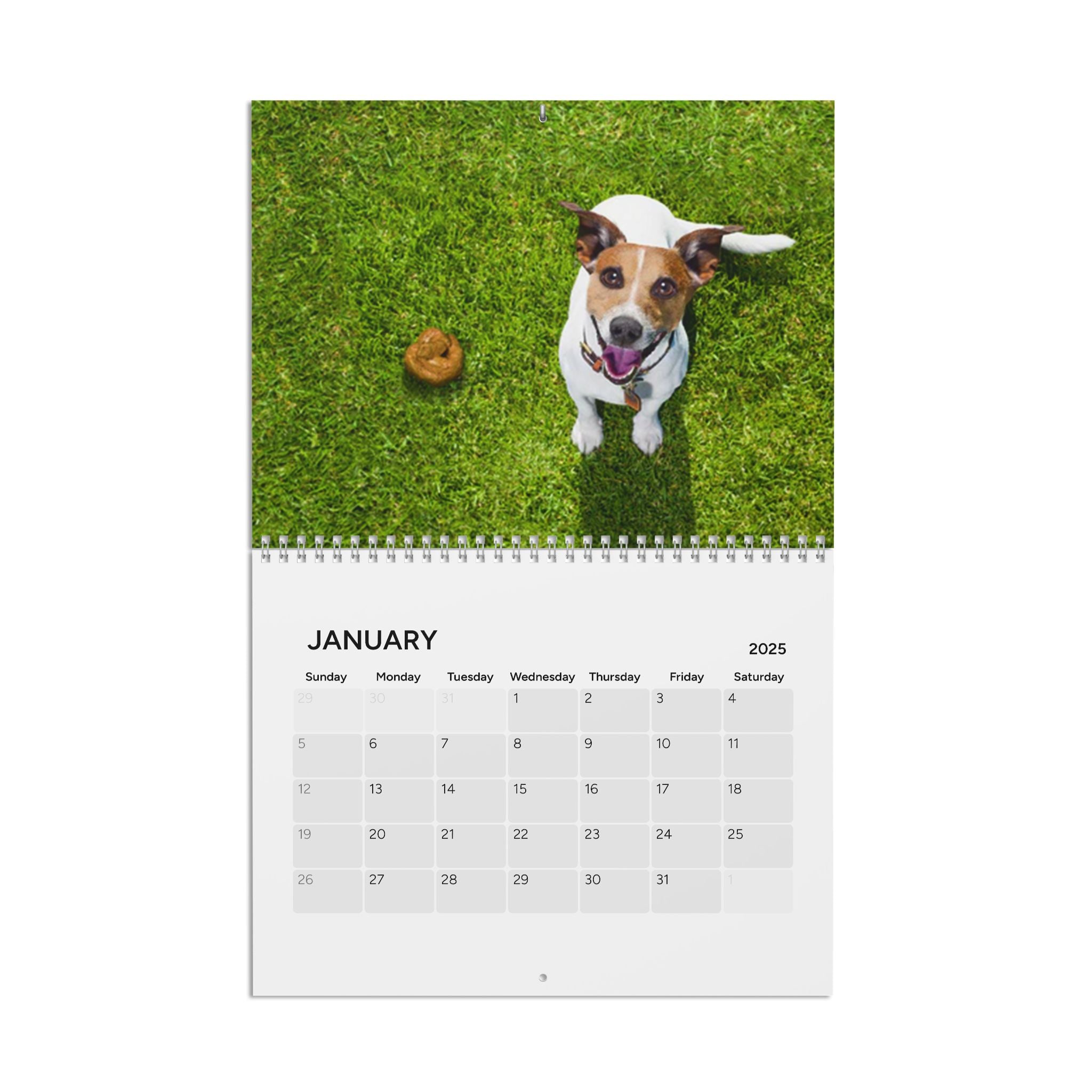 Pooping Dogs Calendar (2025)