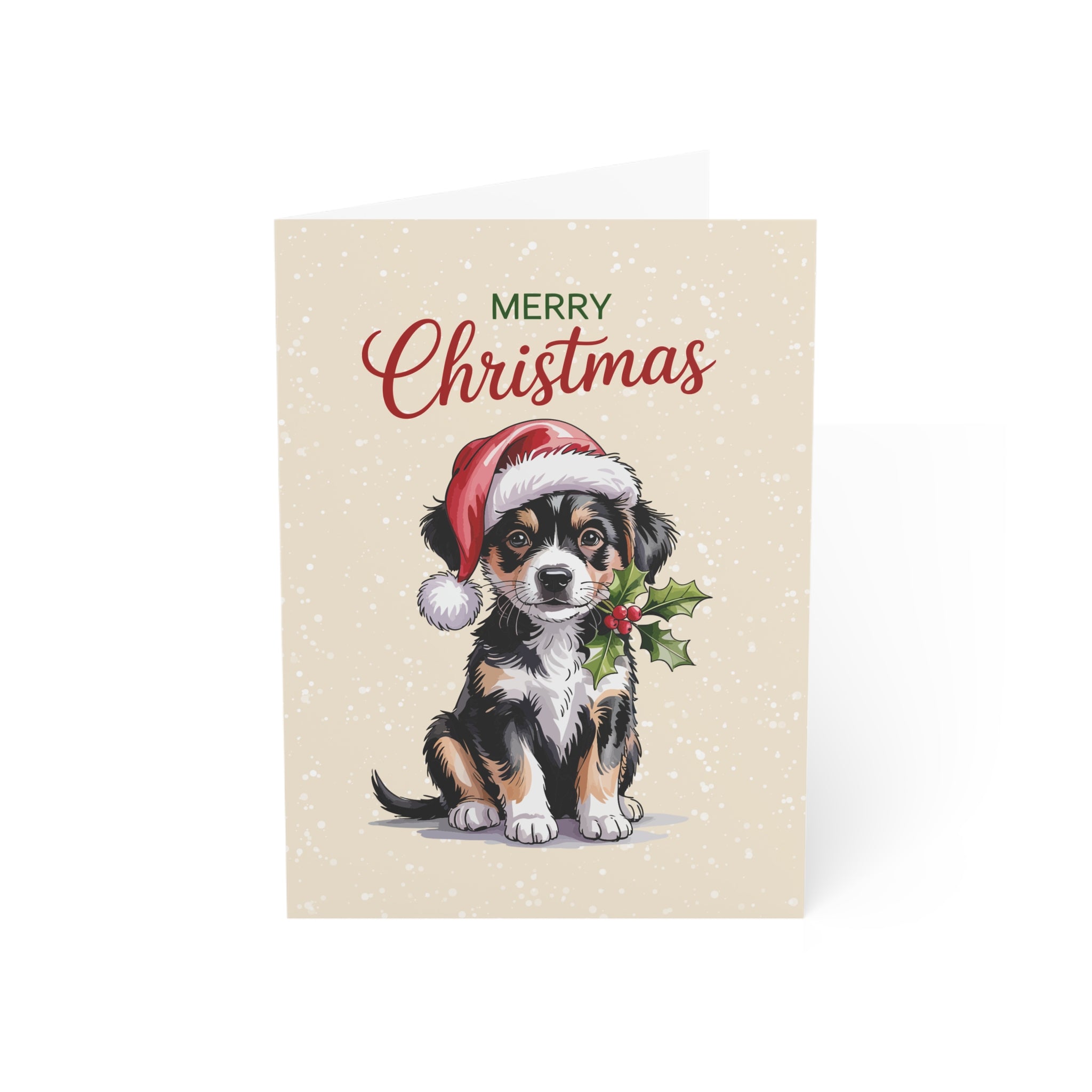 Merry Christmas 6 Greeting Cards