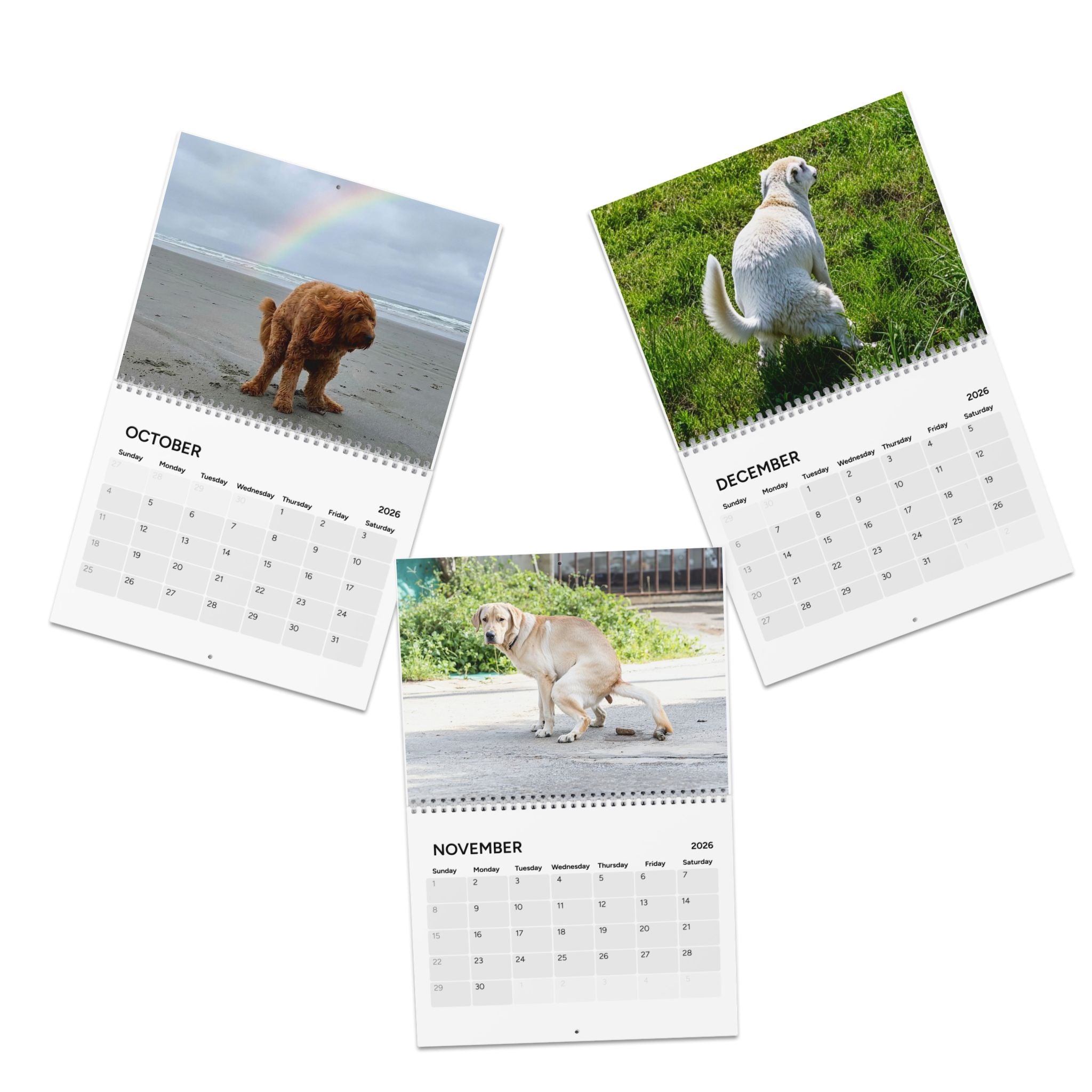Pooping Dog Calendar 2026