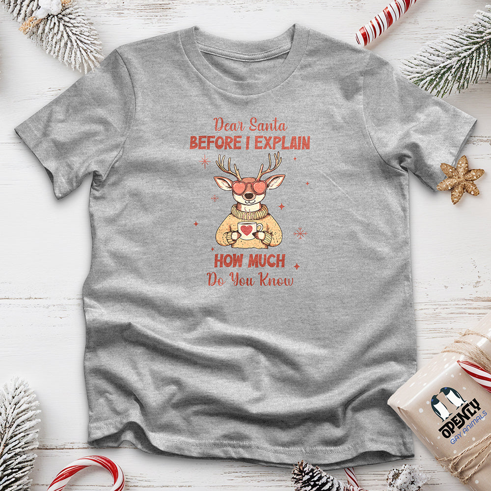 Dear Santa Before I Explain Unisex t-shirt