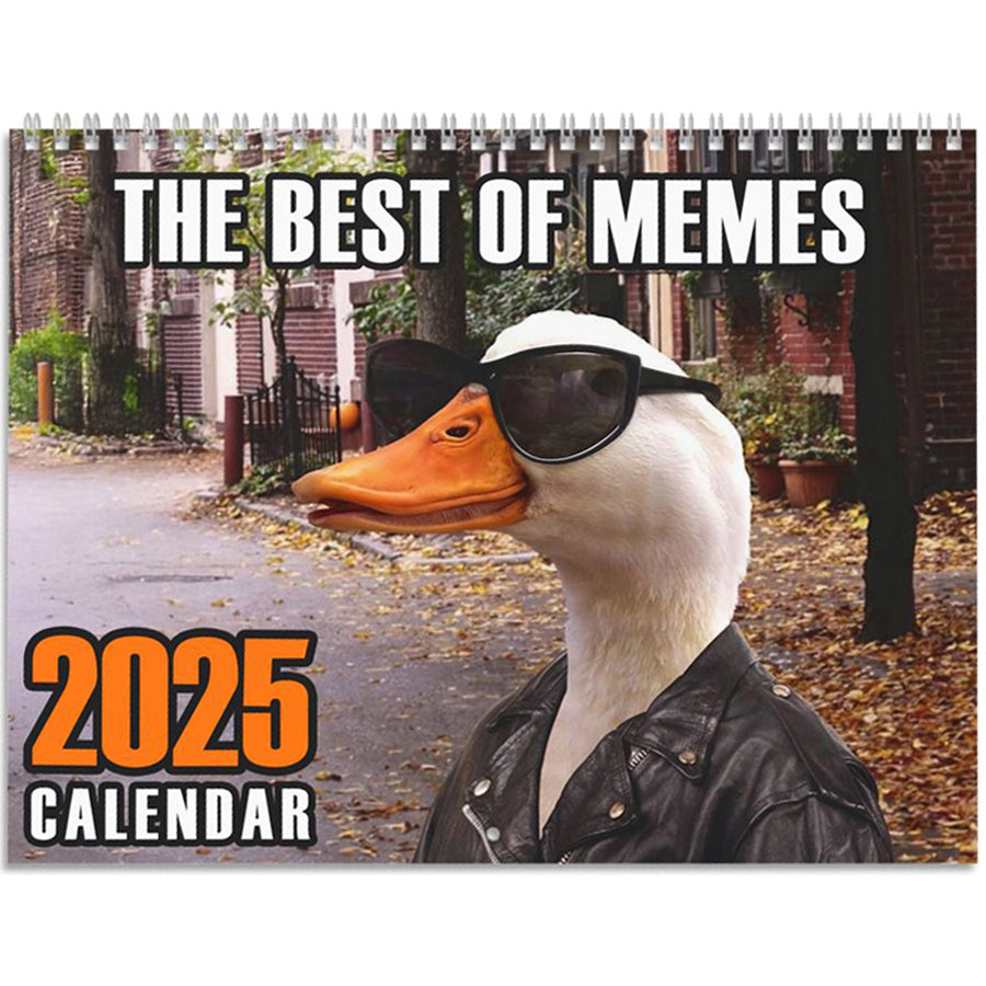 Best Meme Calendar (2025)