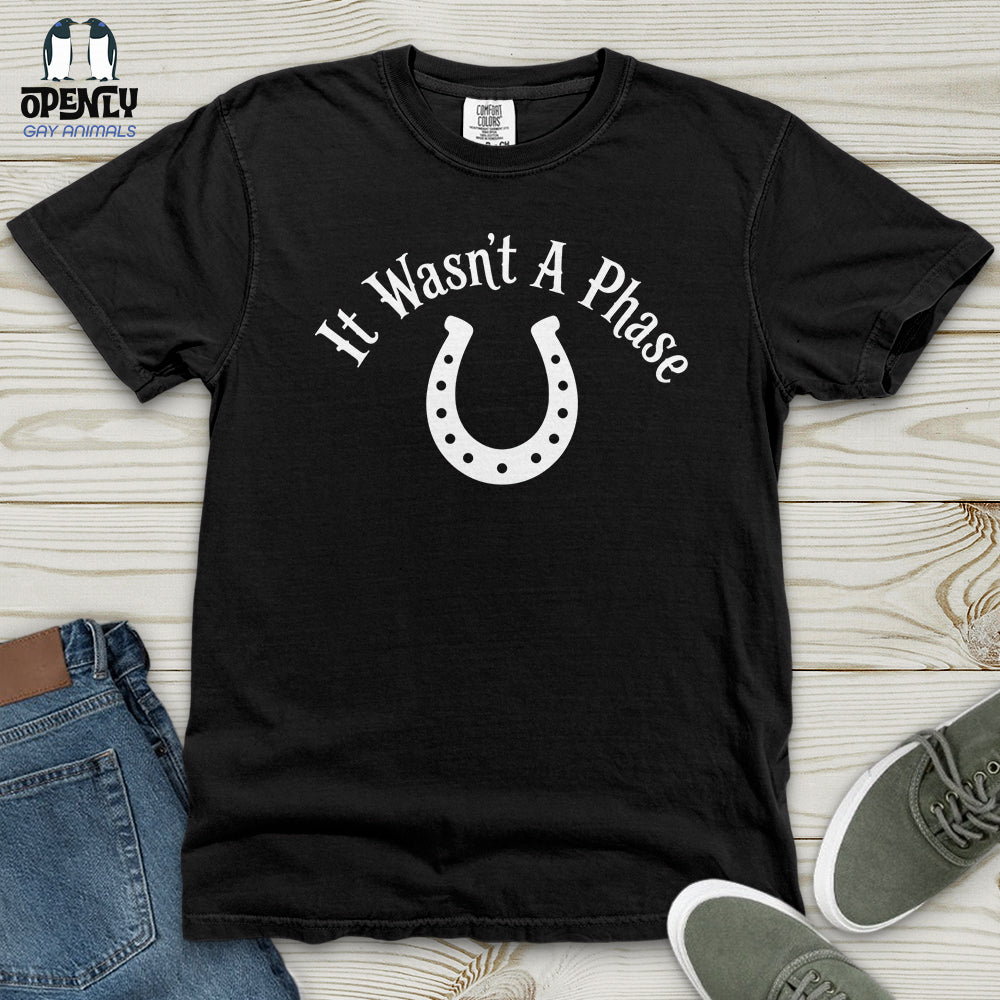 It Wasn't a Phase Heavy Cotton Comfort Colors Tee