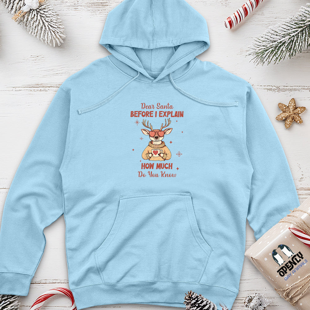 Dear Santa Before I Explain Unisex midweight hoodie