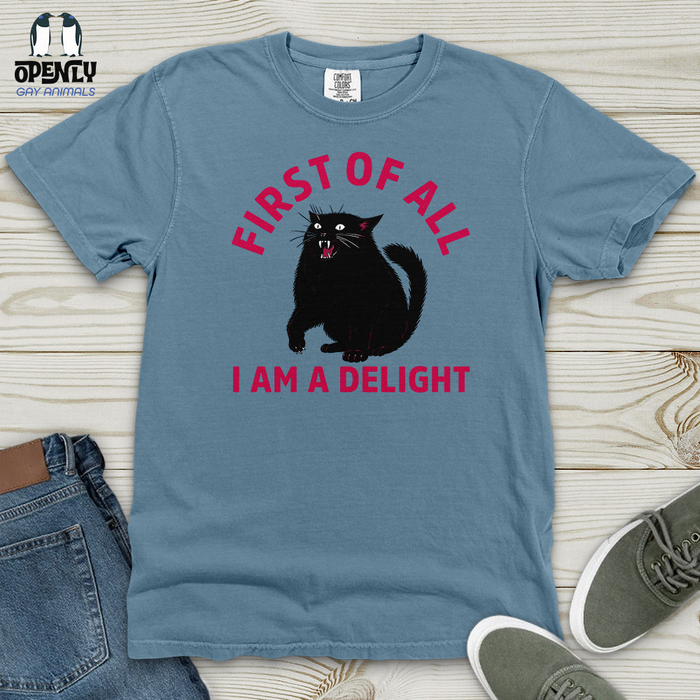 First of All I Am a Delight 03 Heavy Cotton Comfort Colors Tee