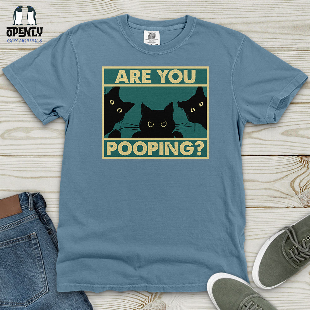 Are You Pooping Heavy Cotton Comfort Colors Tee