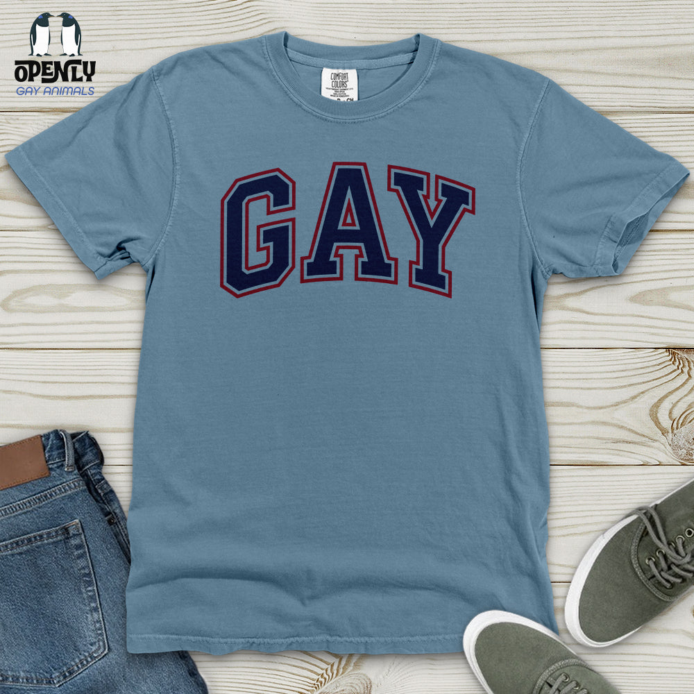 GAY Heavy Cotton Comfort Colors Tee
