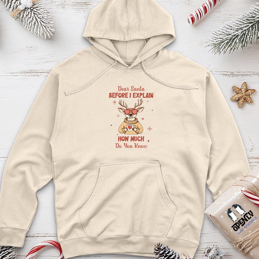 Dear Santa Before I Explain Unisex midweight hoodie