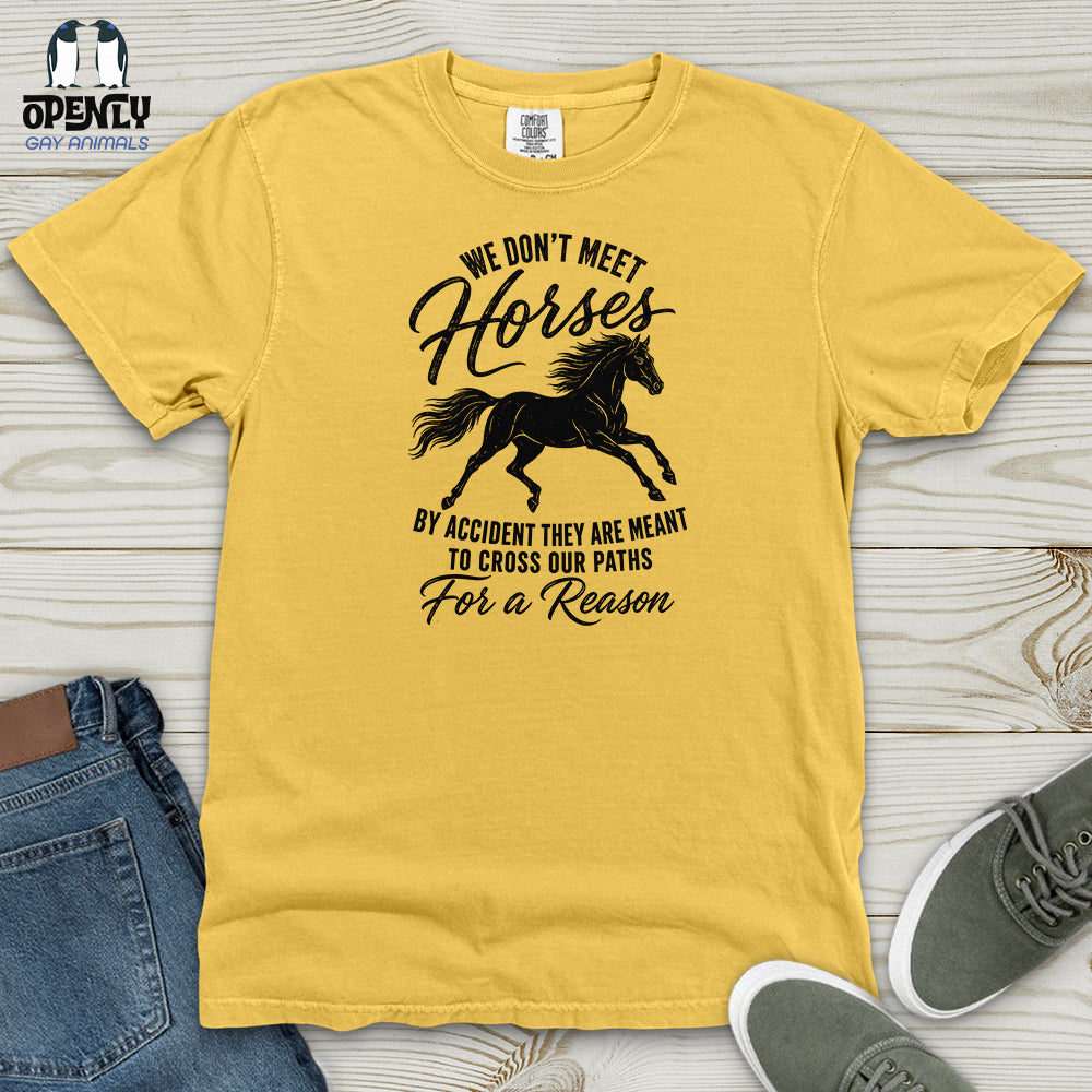 We Don't Meet Heavy Cotton Comfort Colors Tee