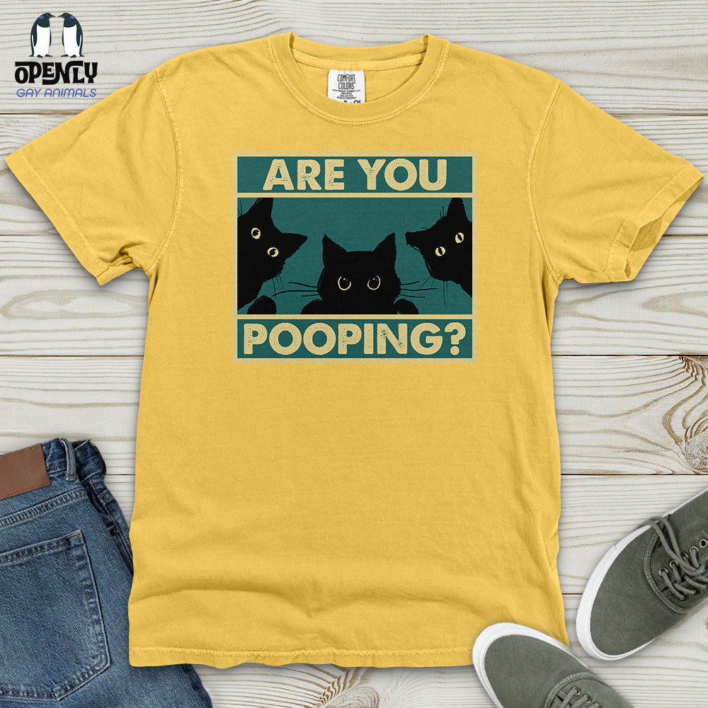 Are You Pooping Heavy Cotton Comfort Colors Tee