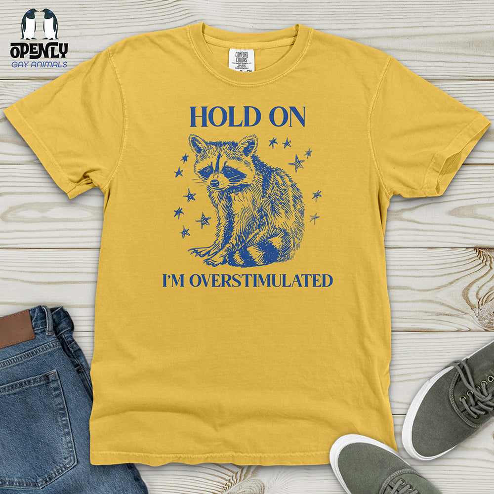 Hold on Heavy Cotton Comfort Colors Tee