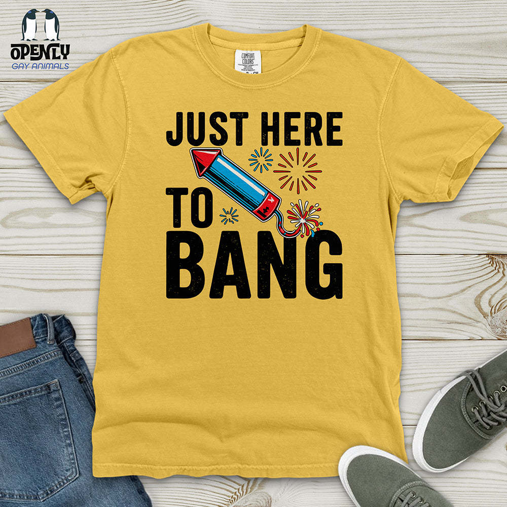 Just Here To Bang 02 Heavy Cotton Comfort Colors Tee