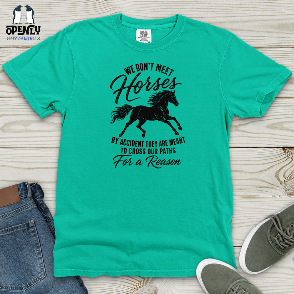 We Don't Meet Heavy Cotton Comfort Colors Tee