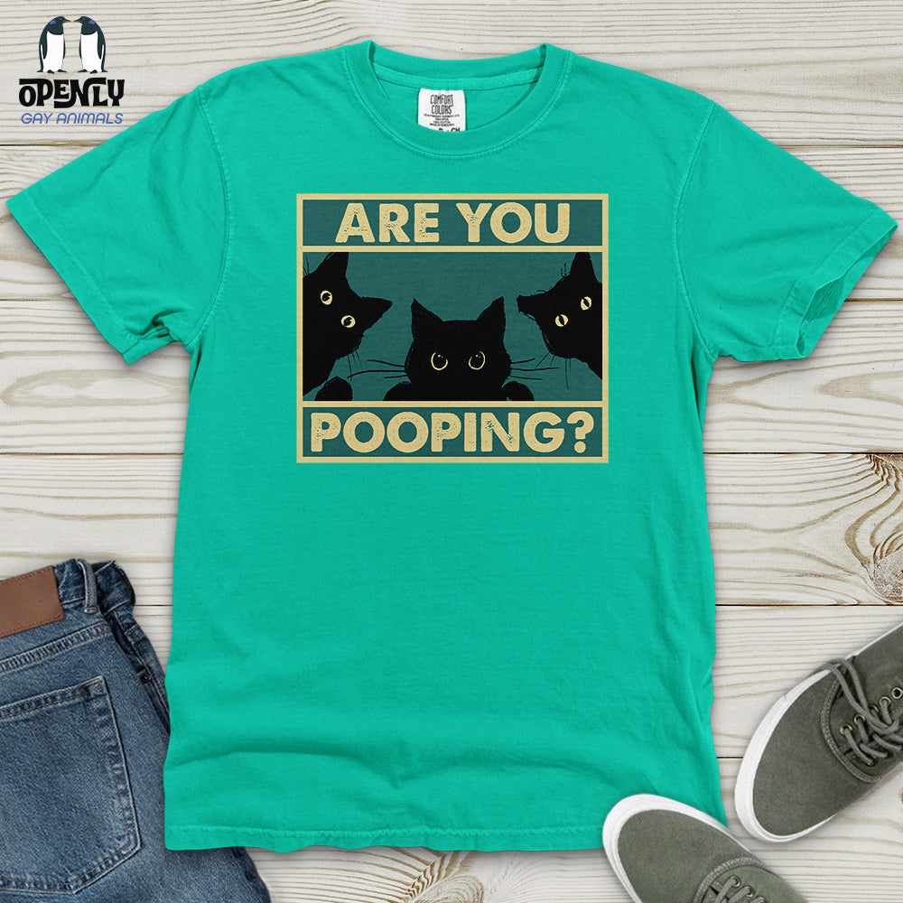Are You Pooping Heavy Cotton Comfort Colors Tee