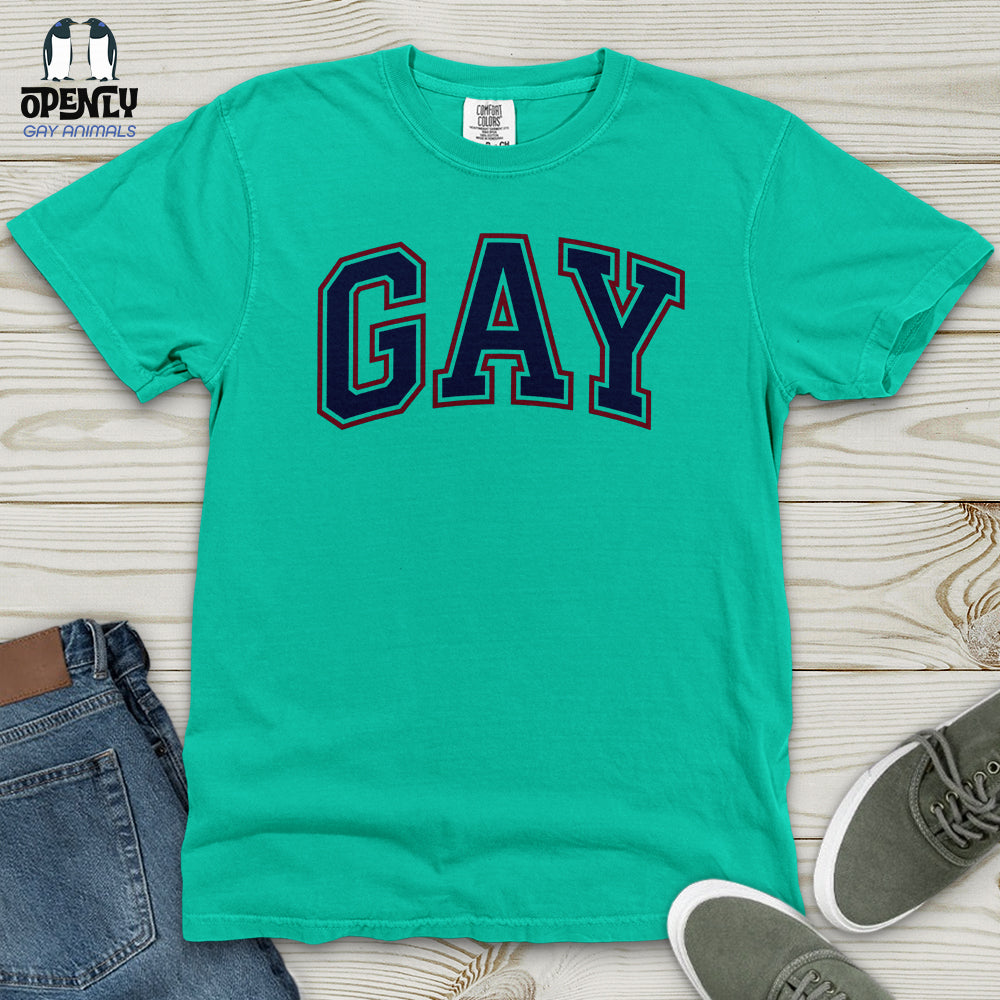 GAY Heavy Cotton Comfort Colors Tee