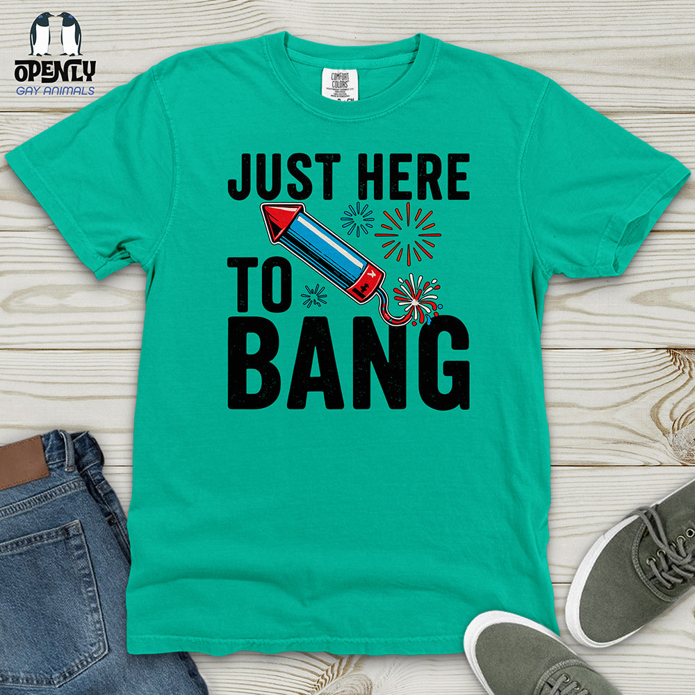 Just Here To Bang 02 Heavy Cotton Comfort Colors Tee