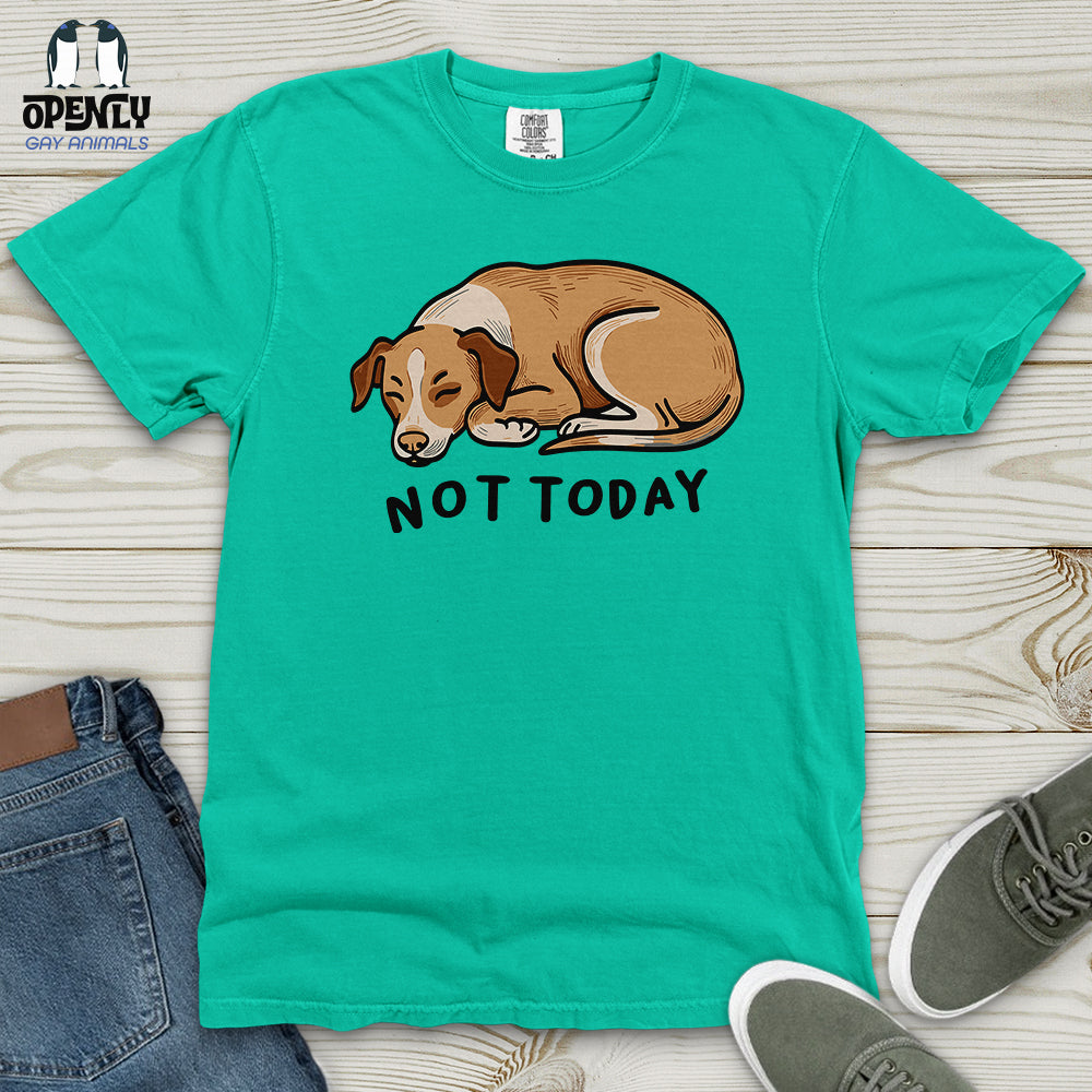 Not Today 02 Heavy Cotton Comfort Colors Tee