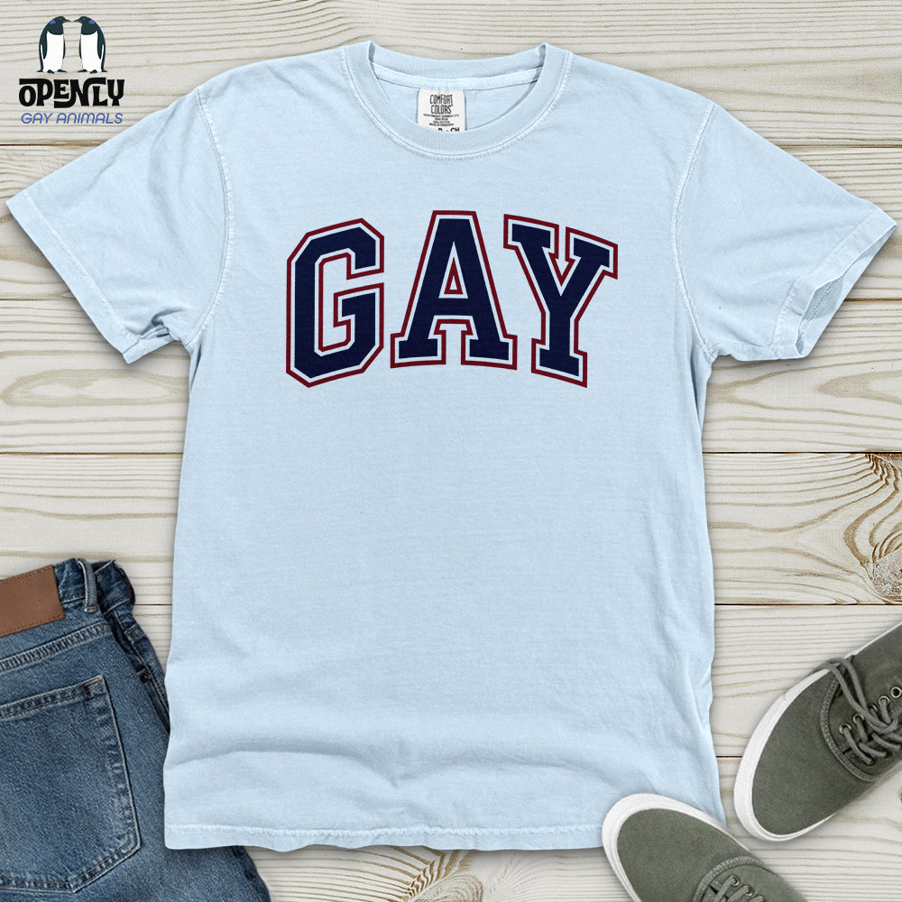 GAY Heavy Cotton Comfort Colors Tee