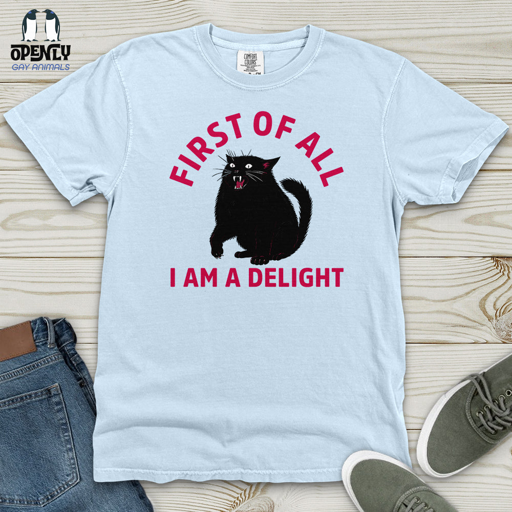 First of All I Am a Delight 03 Heavy Cotton Comfort Colors Tee