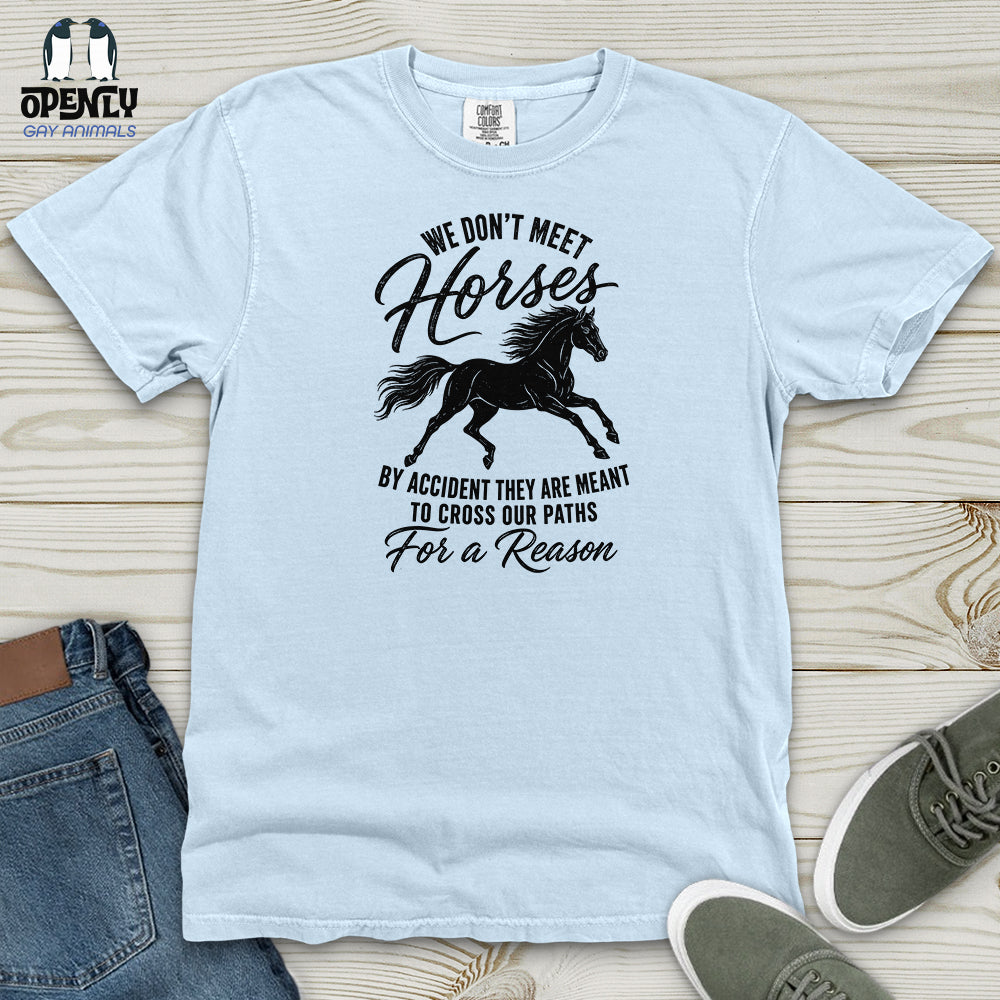 We Don't Meet Heavy Cotton Comfort Colors Tee