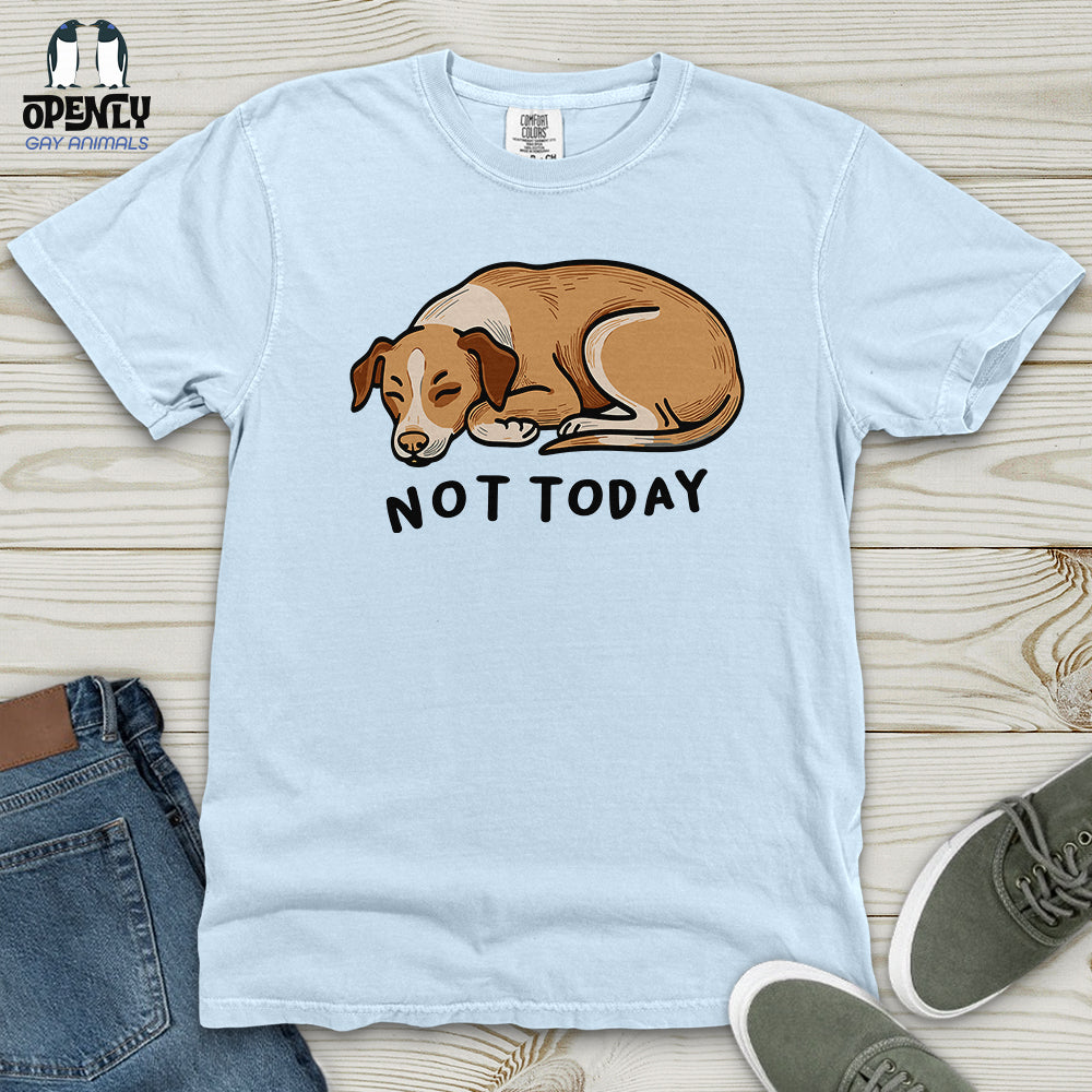Not Today 02 Heavy Cotton Comfort Colors Tee