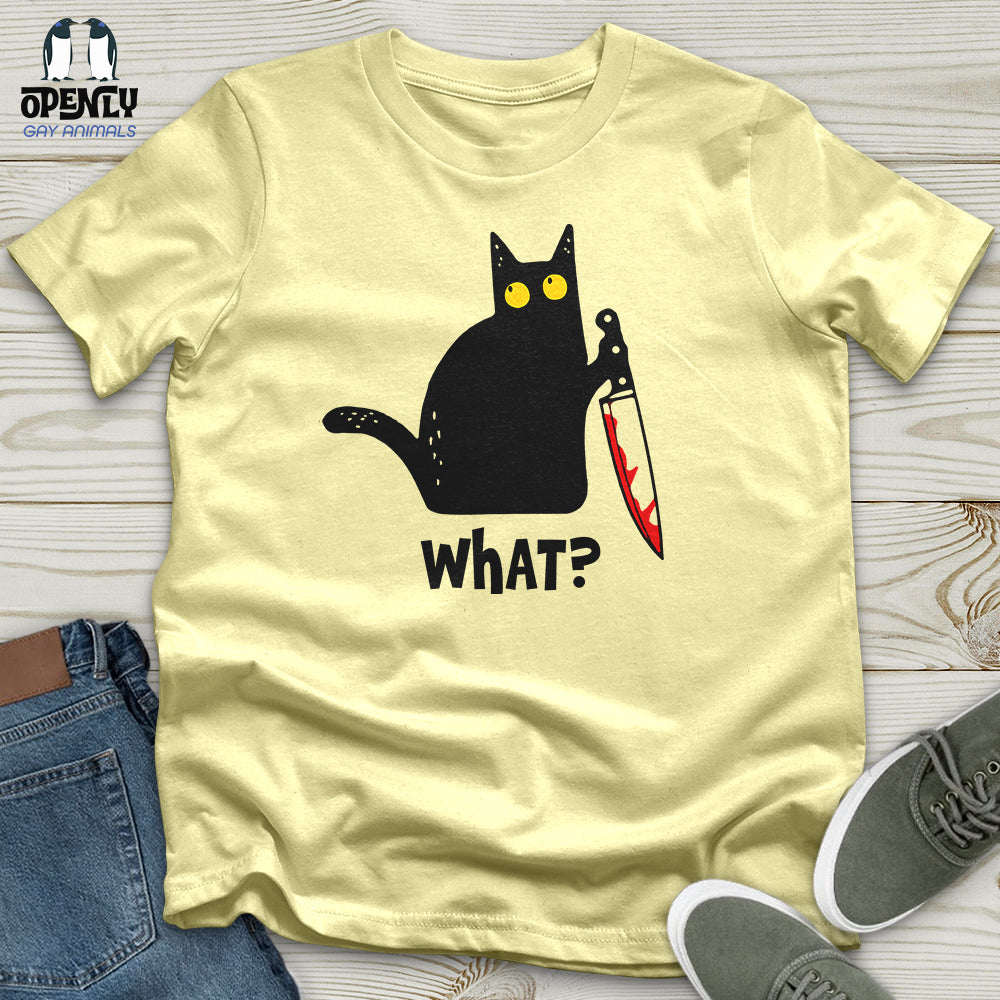 What Softstyle Tee