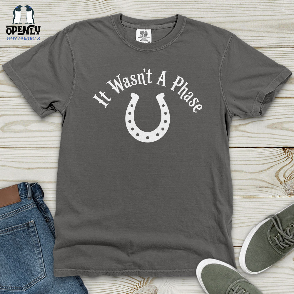 It Wasn't a Phase Heavy Cotton Comfort Colors Tee