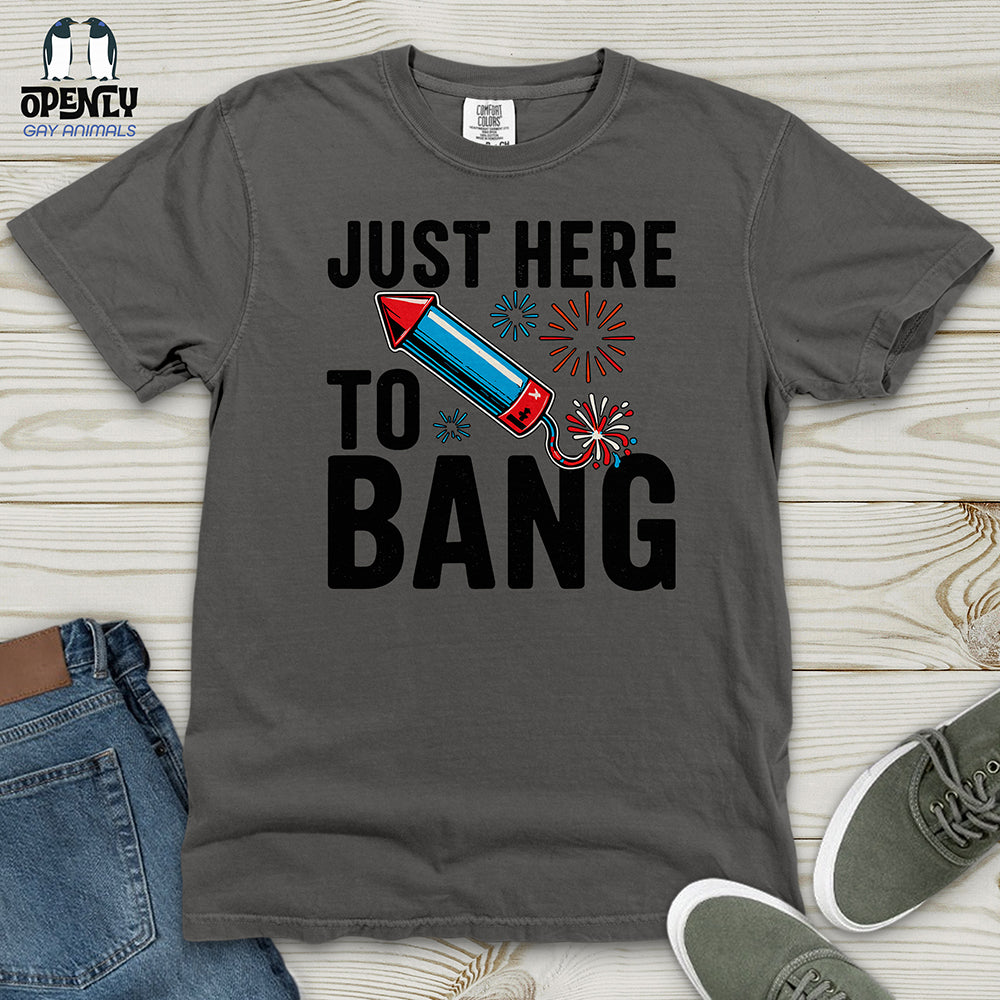 Just Here To Bang 02 Heavy Cotton Comfort Colors Tee