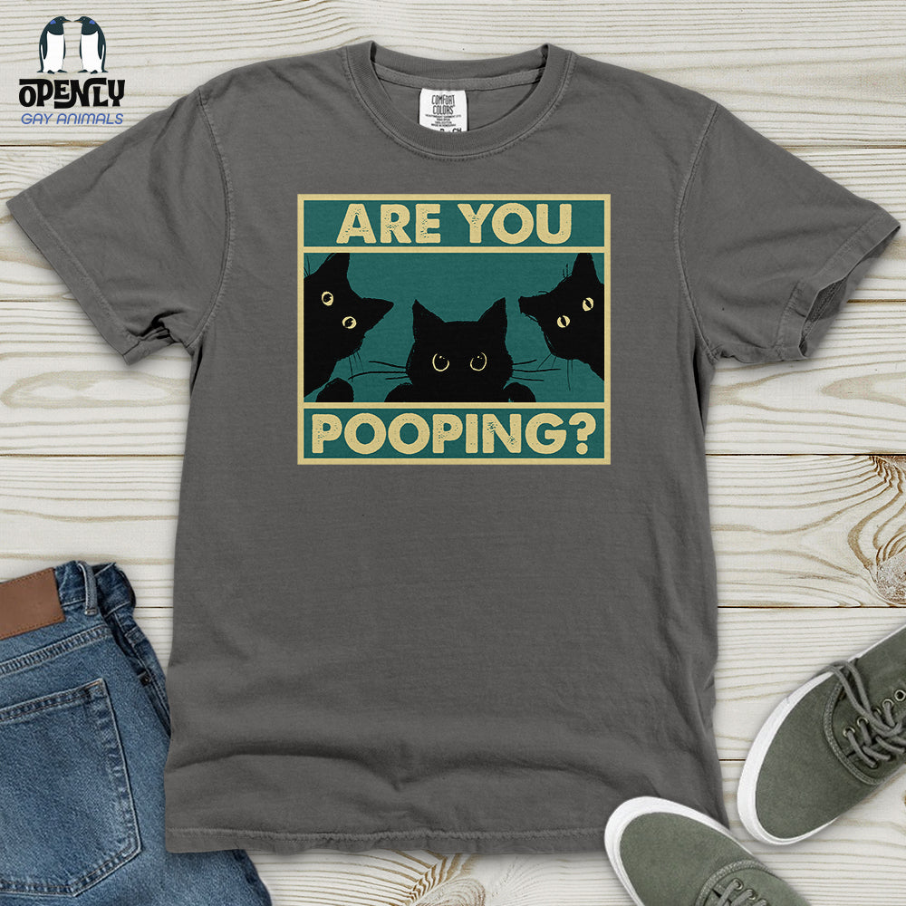 Are You Pooping Heavy Cotton Comfort Colors Tee