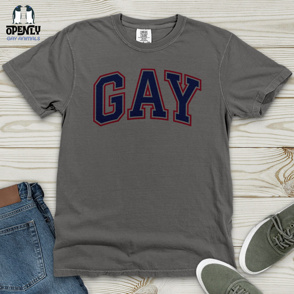 GAY Heavy Cotton Comfort Colors Tee