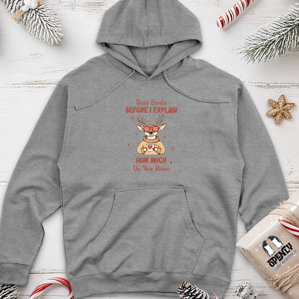 Dear Santa Before I Explain Unisex midweight hoodie
