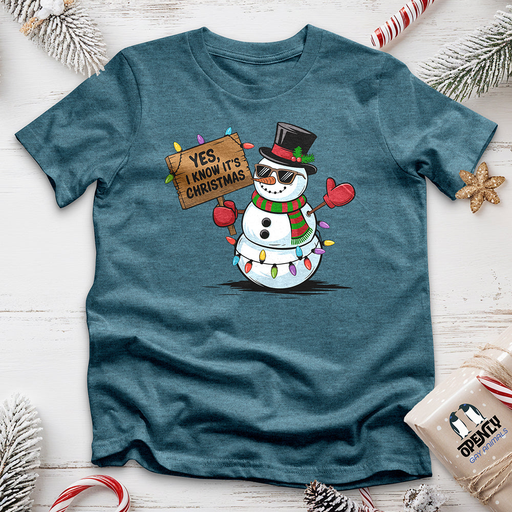 Yes, I Know It's Christmas Unisex t-shirt