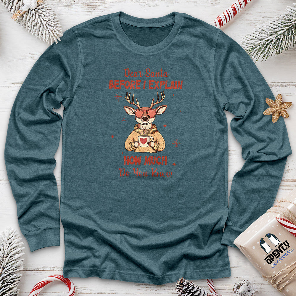 Dear Santa Before I Explain Unisex Long Sleeve Tee