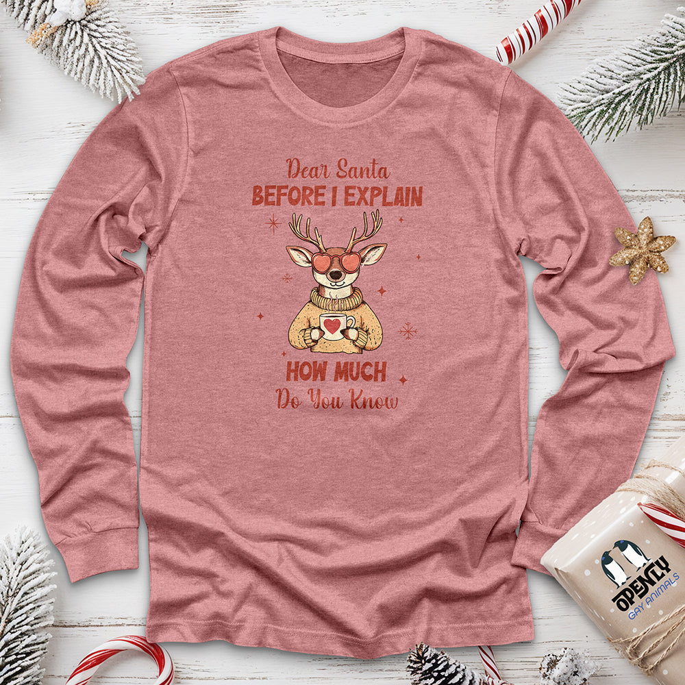 Dear Santa Before I Explain Unisex Long Sleeve Tee