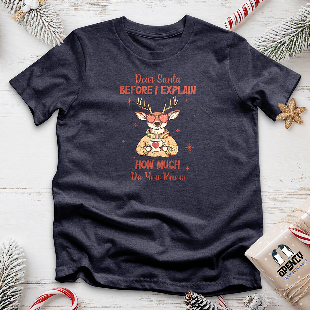 Dear Santa Before I Explain Unisex t-shirt