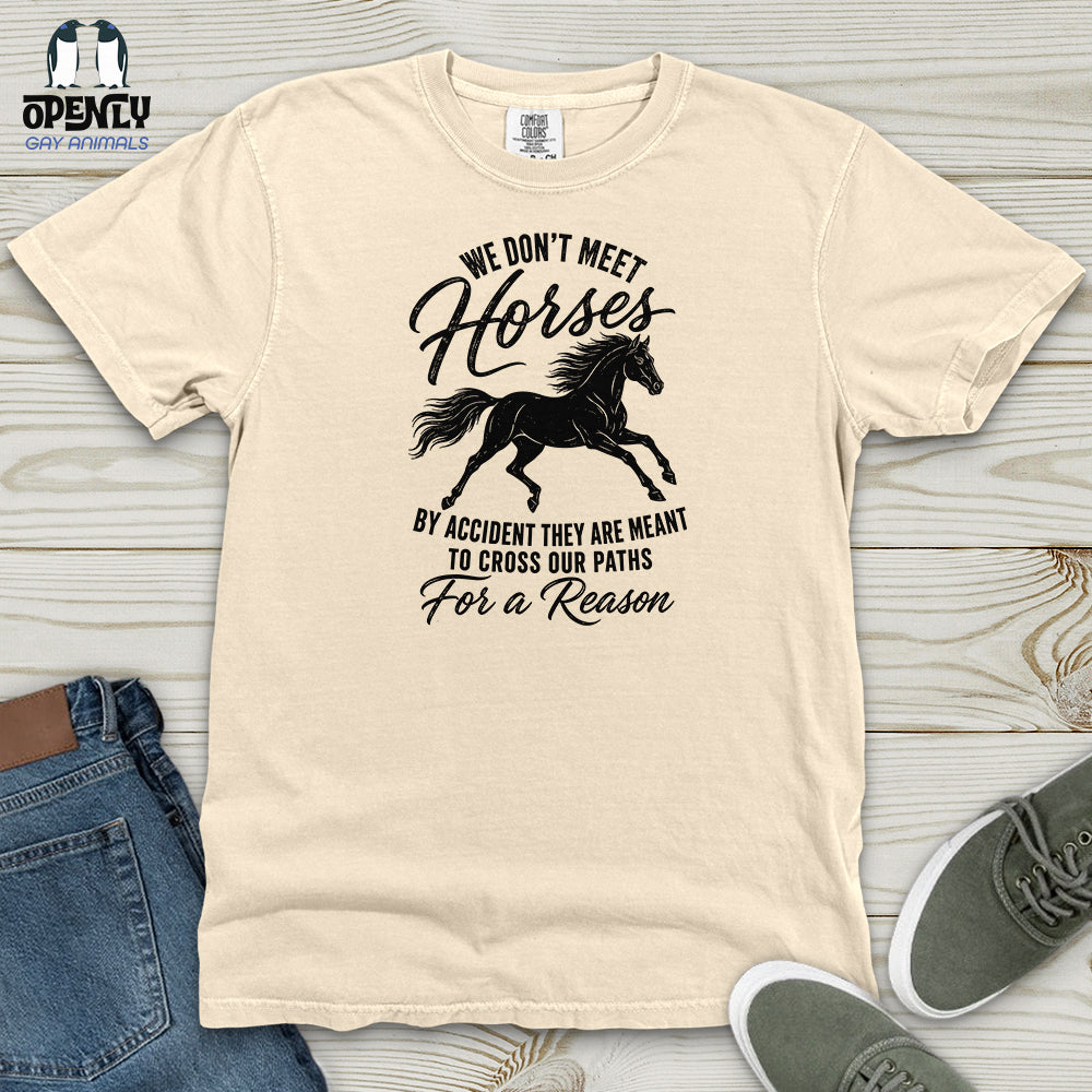 We Don't Meet Heavy Cotton Comfort Colors Tee