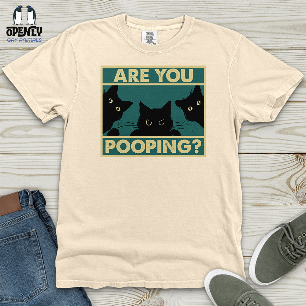 Are You Pooping Heavy Cotton Comfort Colors Tee