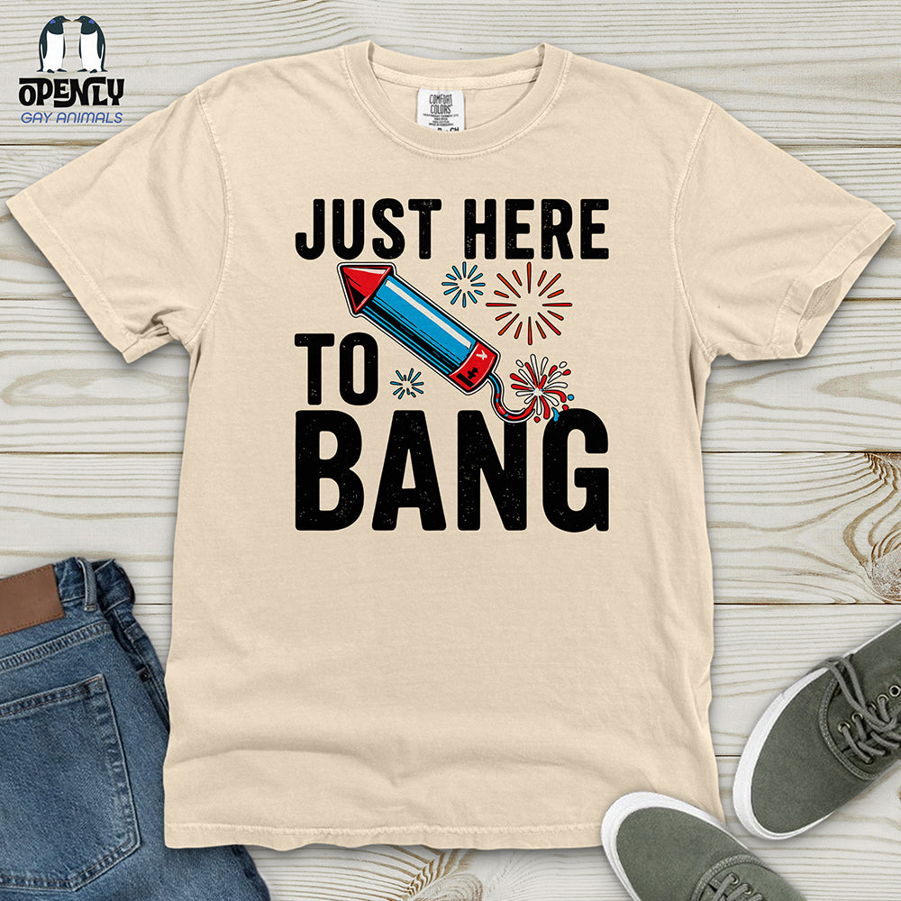 Just Here To Bang 02 Heavy Cotton Comfort Colors Tee